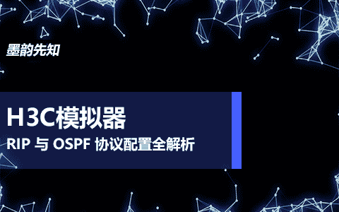新华三模拟器实战：RIP 与 OSPF 协议配置全解析